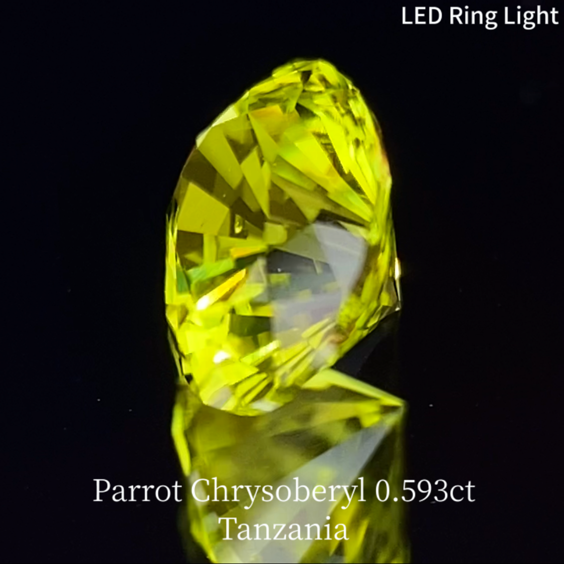 Parrot Chrysoberyl 0.593ct / Tanzania