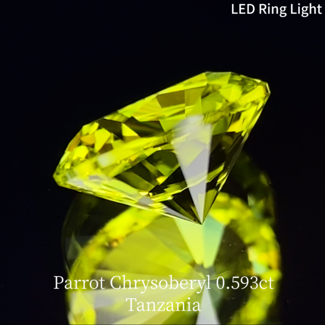 Parrot Chrysoberyl 0.593ct / Tanzania
