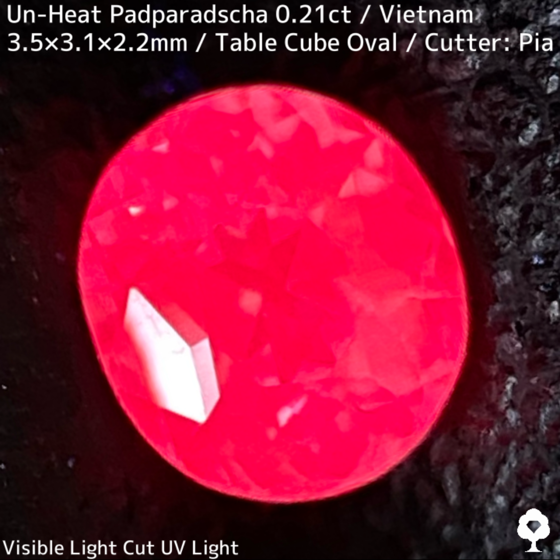 Un-Heat Padparadscha Sapphire 0.21ct / Vietnam
