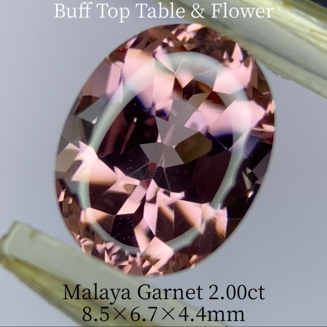 Malaya Garnet 2.036ct / Buff Top Flower Oval
