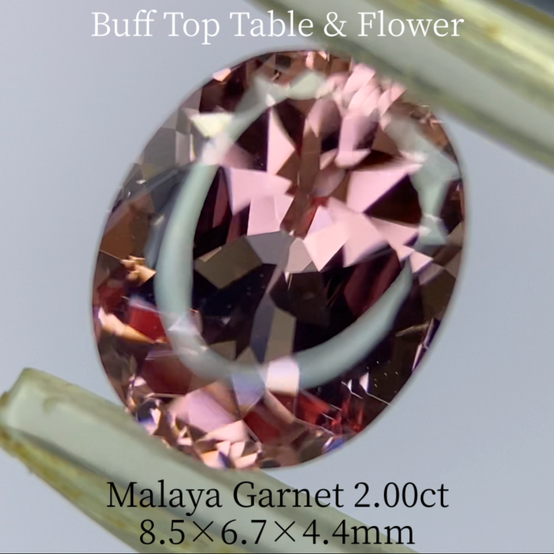 Malaya Garnet 2.036ct / Buff Top Flower Oval