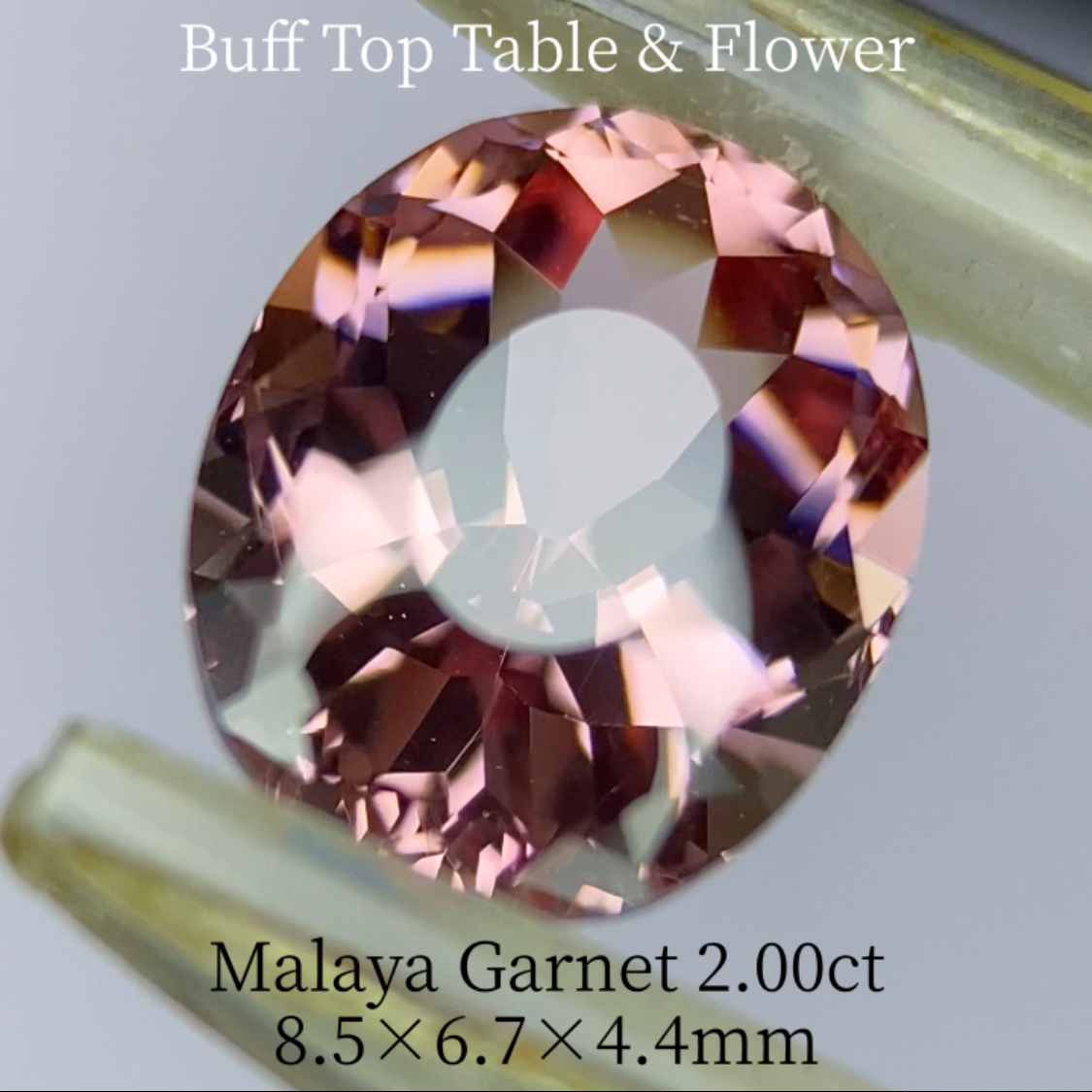 Malaya Garnet 2.036ct / Buff Top Flower Oval