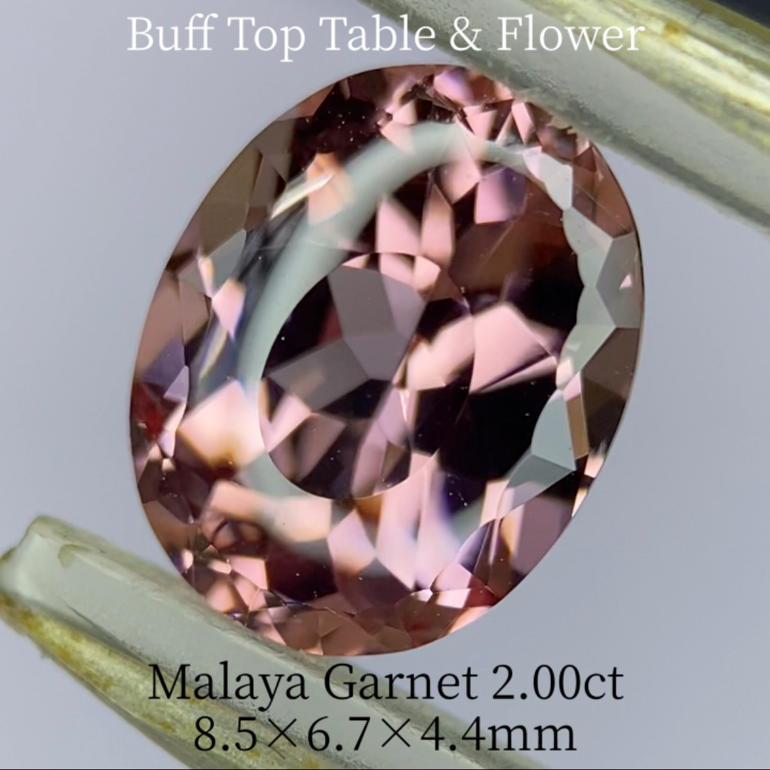 Malaya Garnet 2.036ct / Buff Top Flower Oval