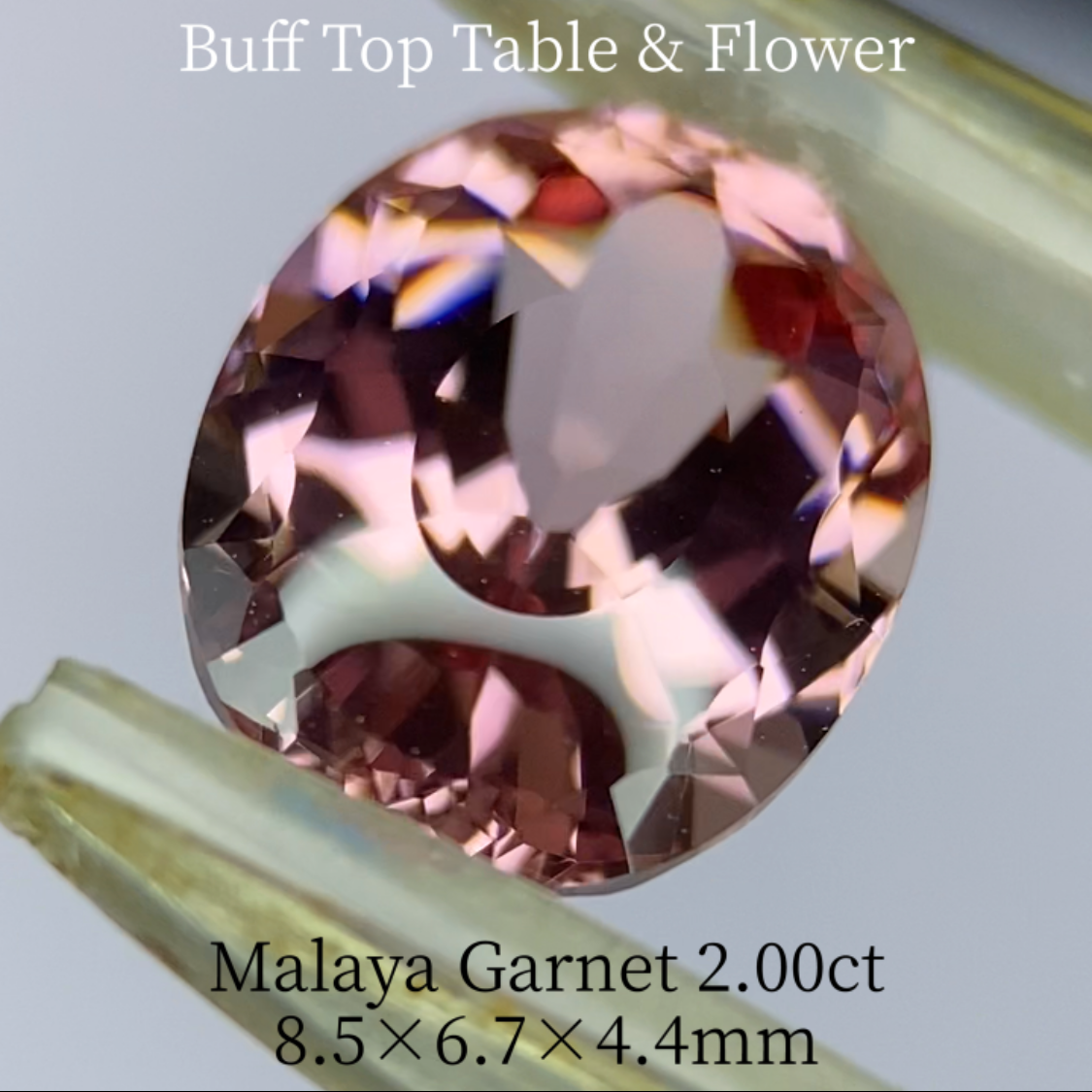 Malaya Garnet 2.036ct / Buff Top Flower Oval