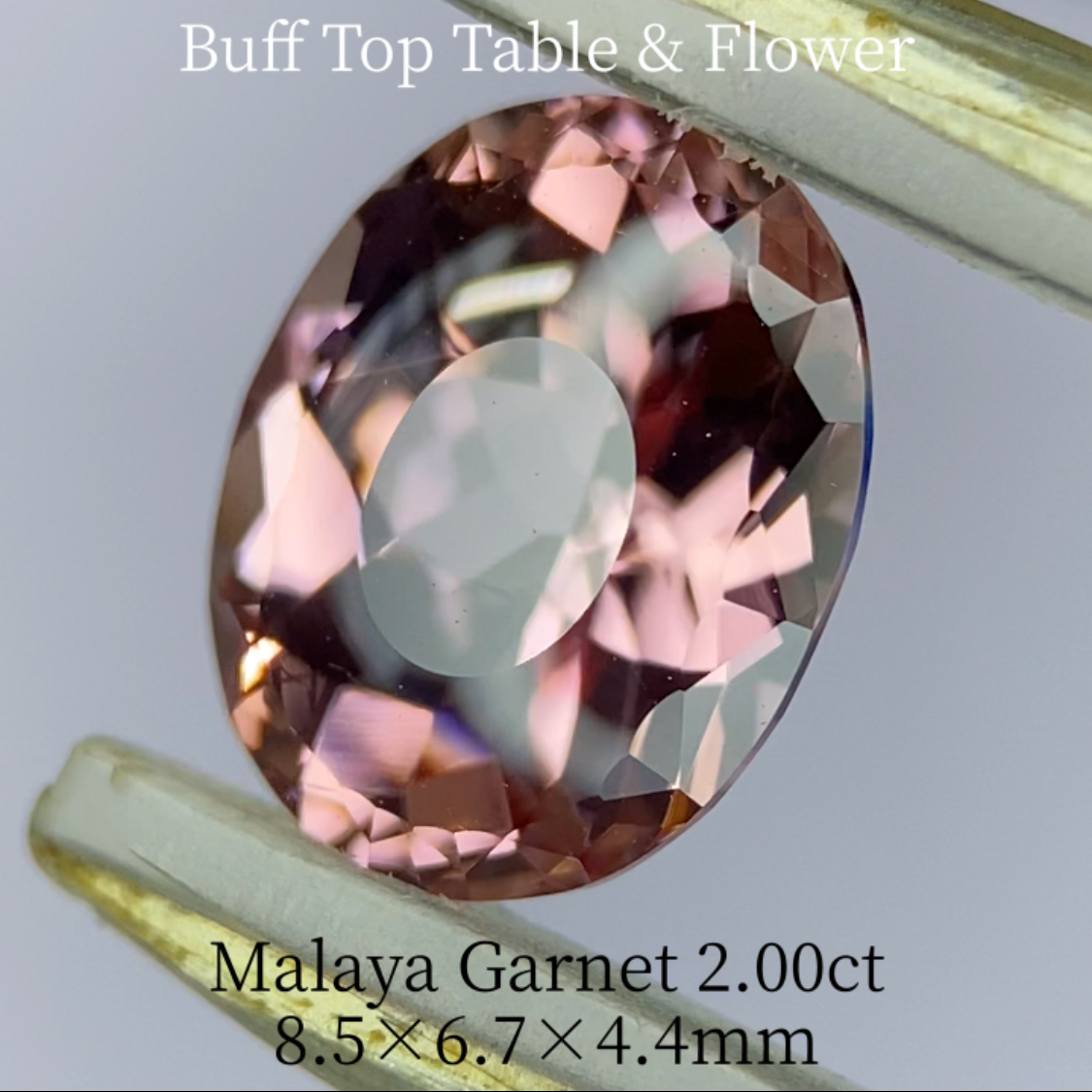 Malaya Garnet 2.036ct / Buff Top Flower Oval