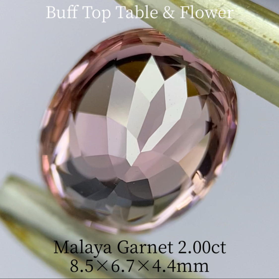 Malaya Garnet 2.036ct / Buff Top Flower Oval