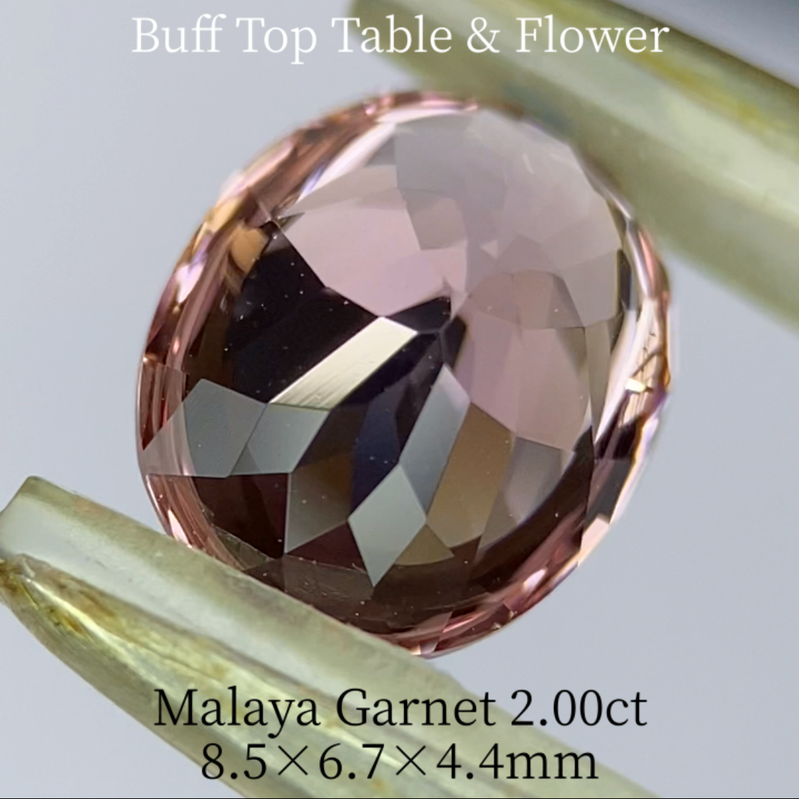 Malaya Garnet 2.036ct / Buff Top Flower Oval