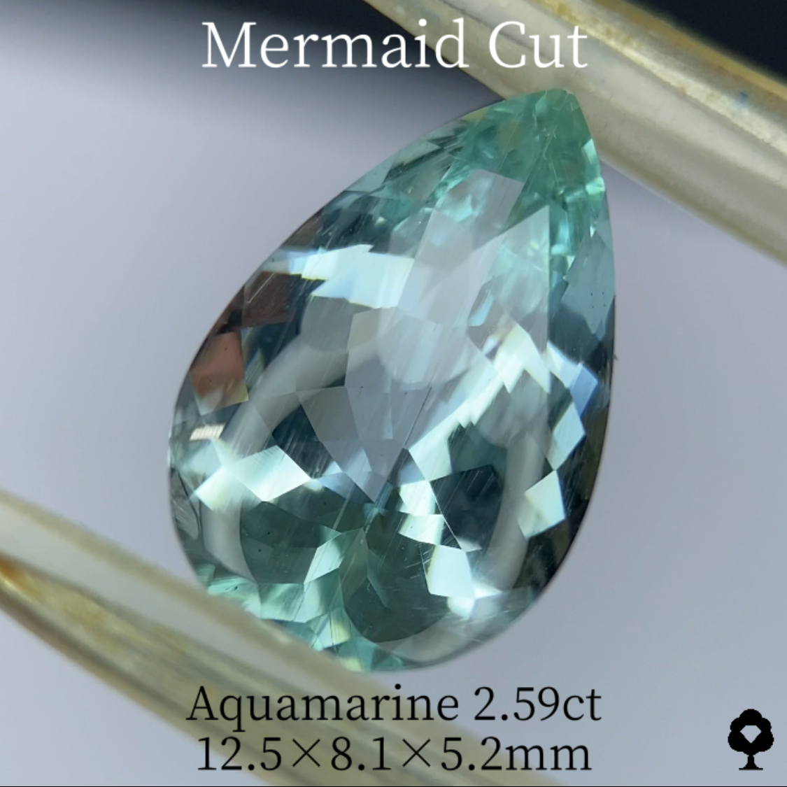 Aquamarine 2.59ct / Mermaid cut