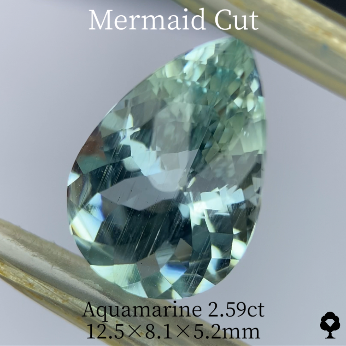 Aquamarine 2.59ct / Mermaid cut