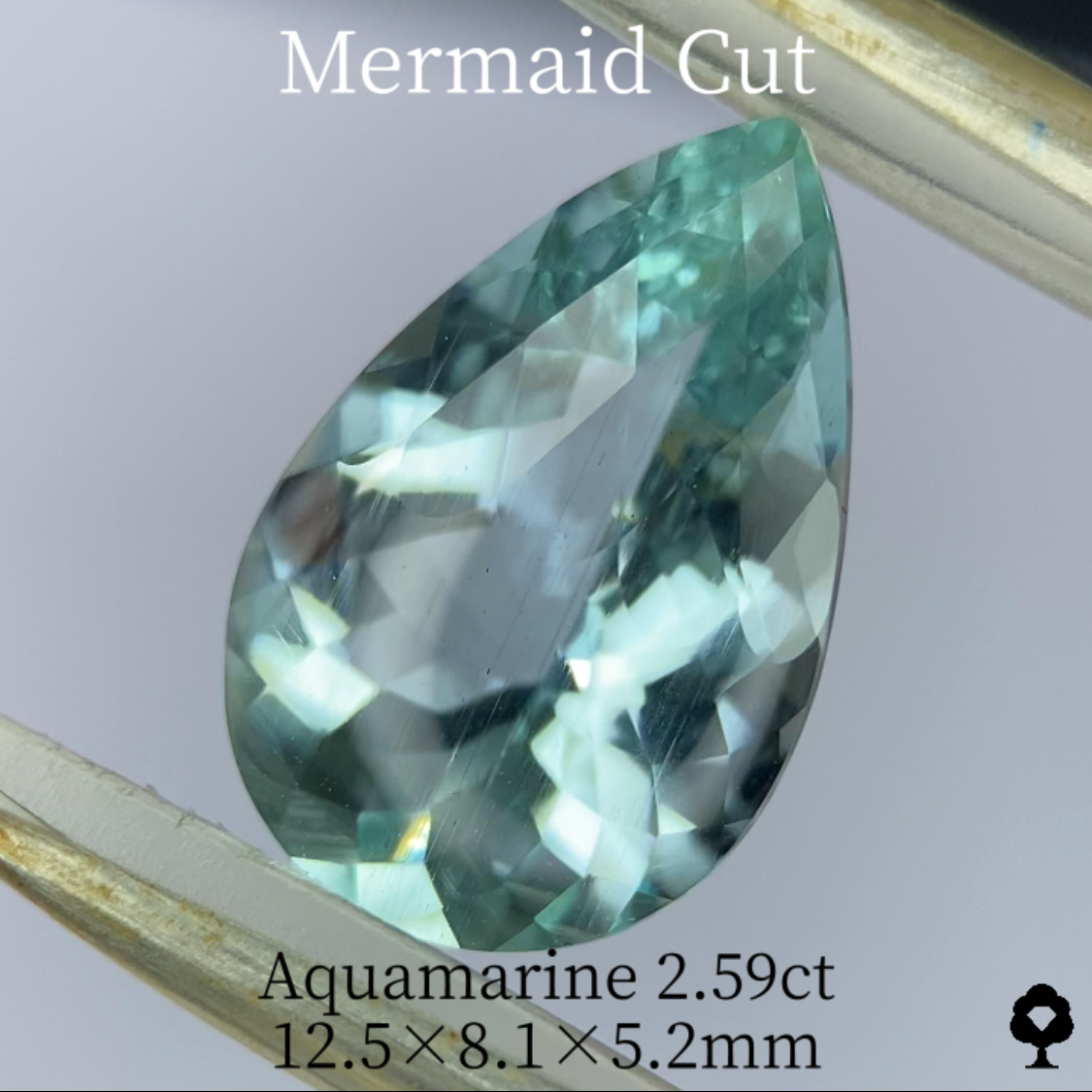 Aquamarine 2.59ct / Mermaid cut