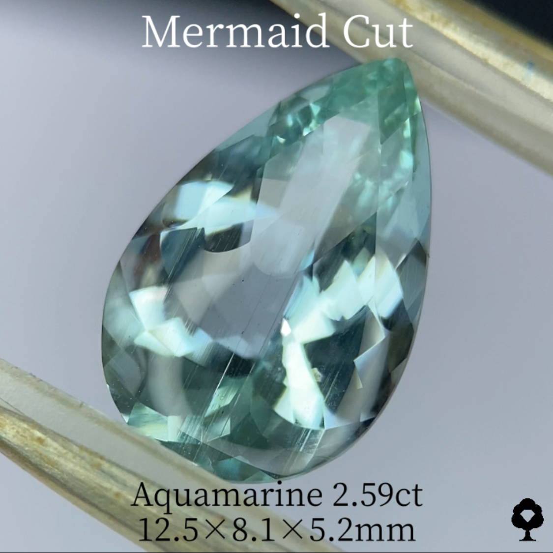 Aquamarine 2.59ct / Mermaid cut