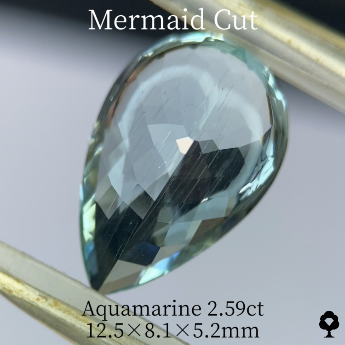 Aquamarine 2.59ct / Mermaid cut