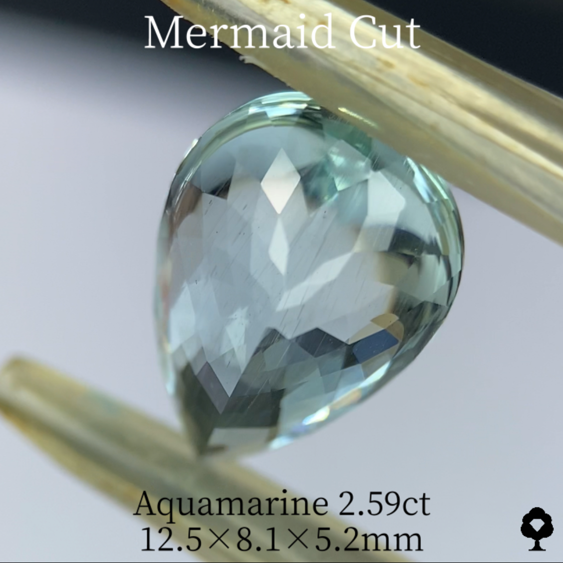 Aquamarine 2.59ct / Madagascar