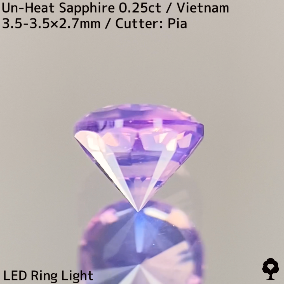 Un-Heat Sapphire 0.25ct / Vietnam / New Cut