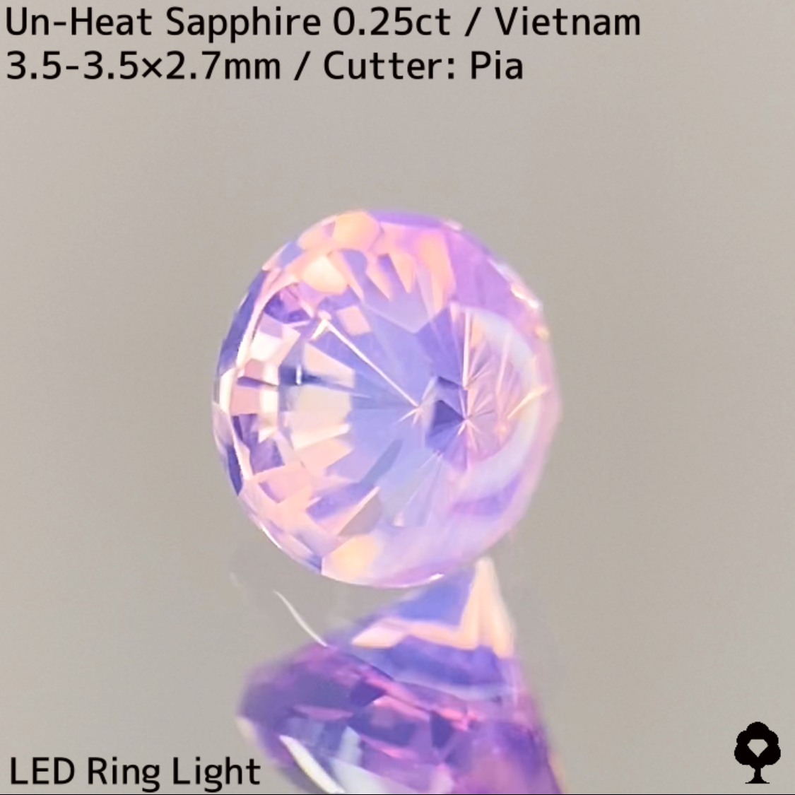 Un-Heat Sapphire 0.25ct / Vietnam / New Cut