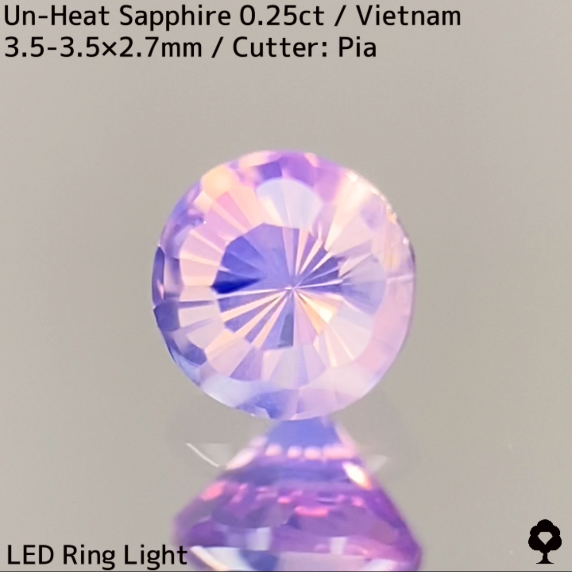 Un-Heat Sapphire 0.25ct / Vietnam / New Cut