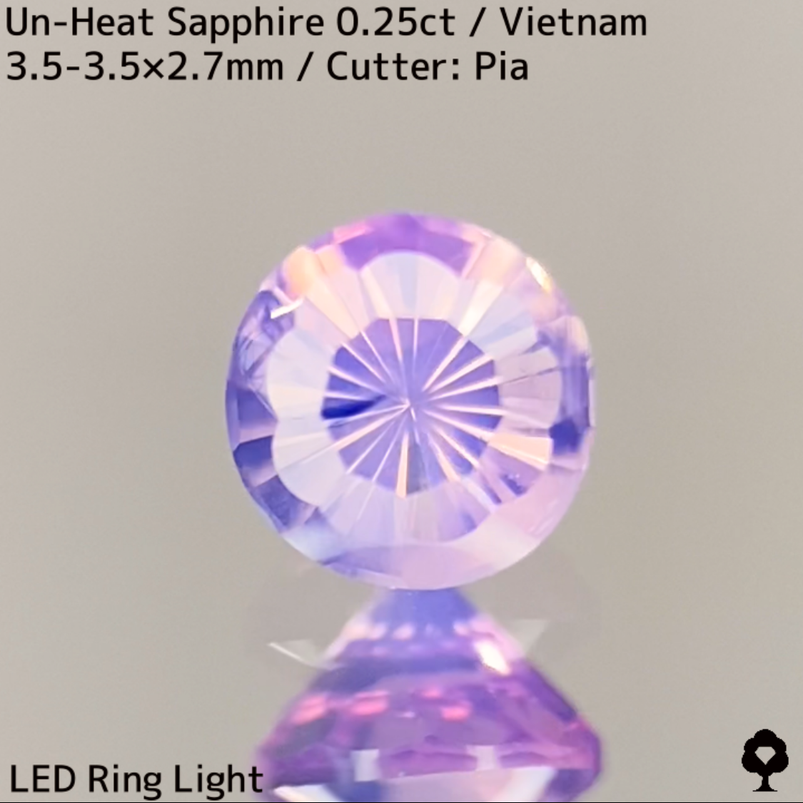 Un-Heat Sapphire 0.25ct / Vietnam