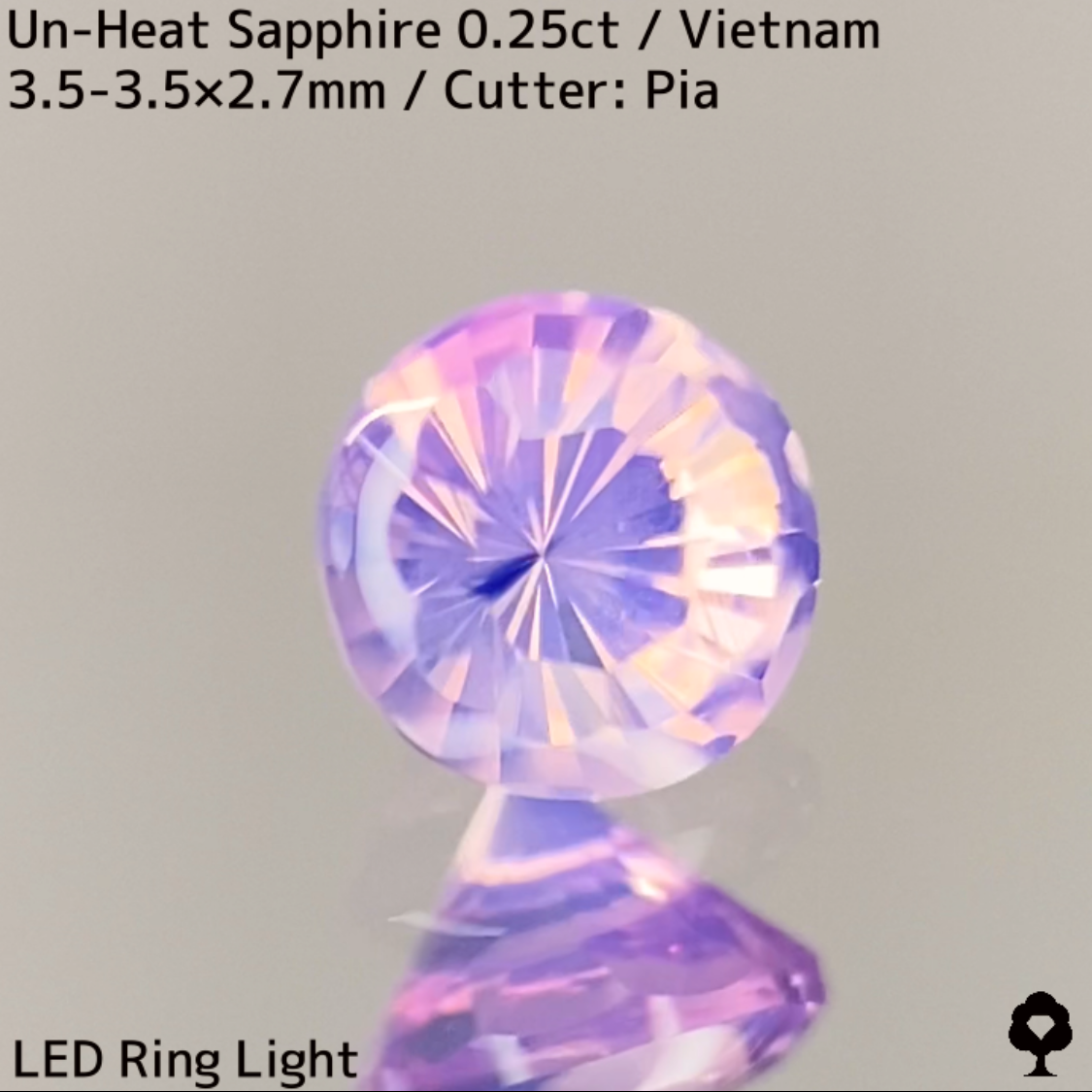 Un-Heat Sapphire 0.25ct / Vietnam / New Cut
