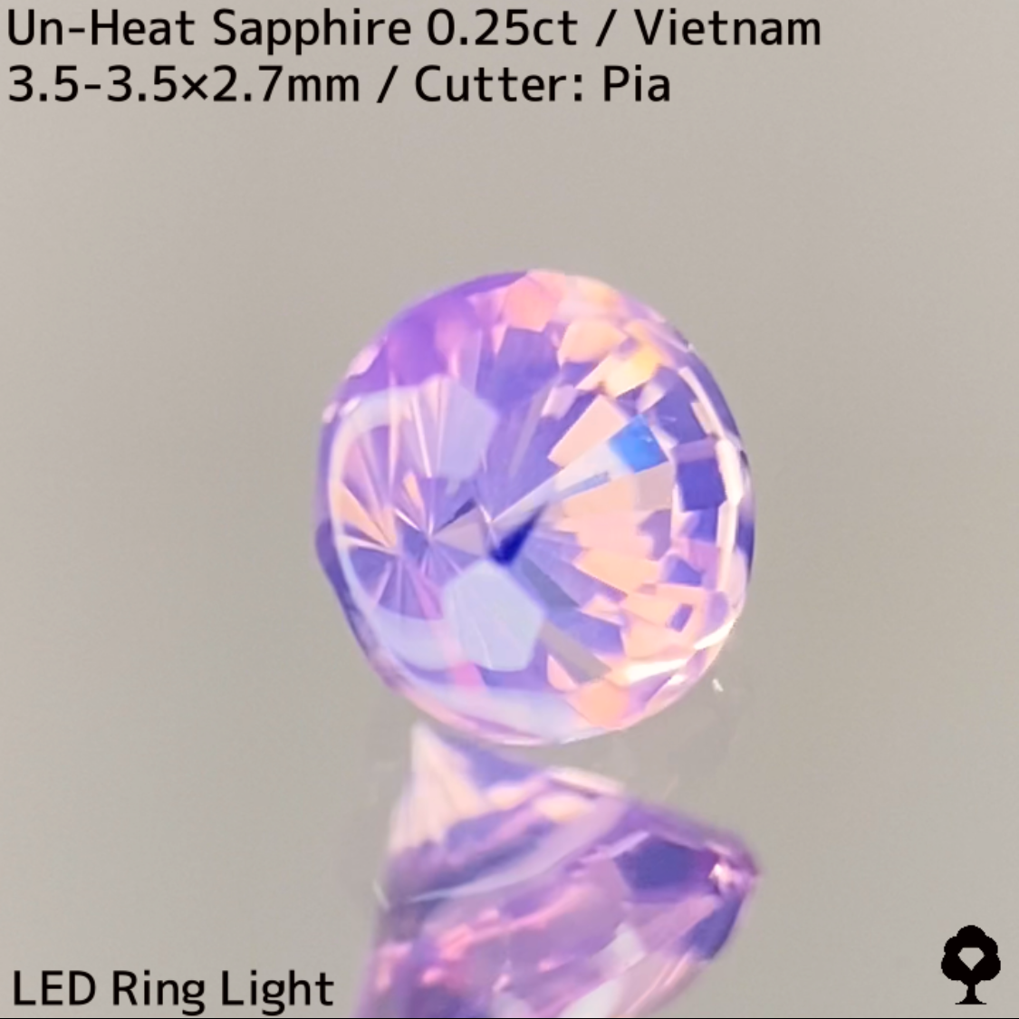 Un-Heat Sapphire 0.25ct / Vietnam / New Cut