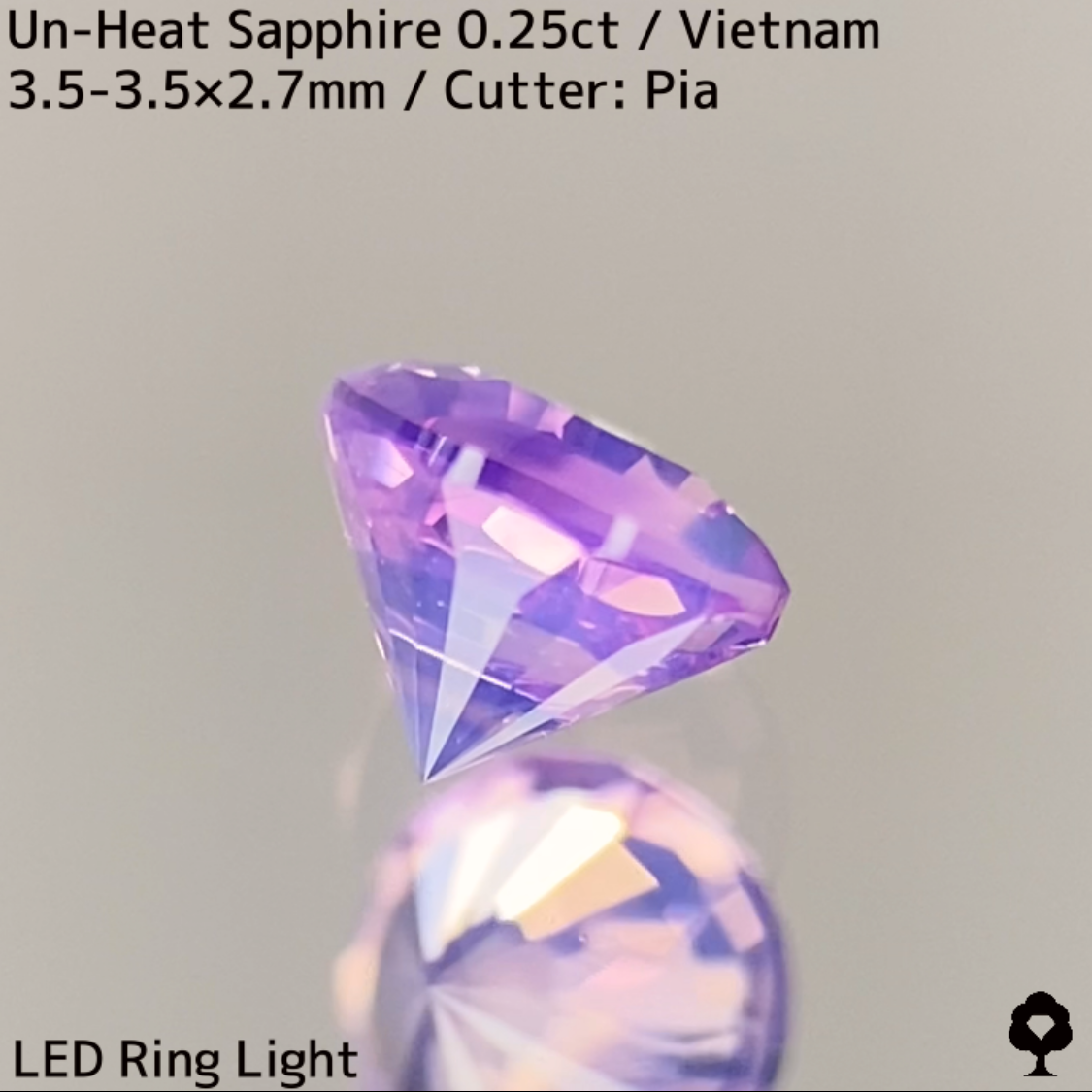 Un-Heat Sapphire 0.25ct / Vietnam / New Cut