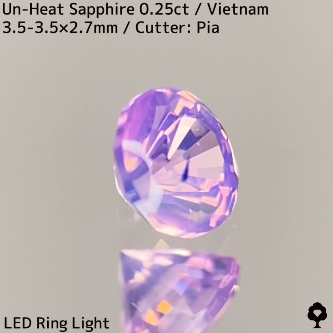 Un-Heat Sapphire 0.25ct / Vietnam / New Cut