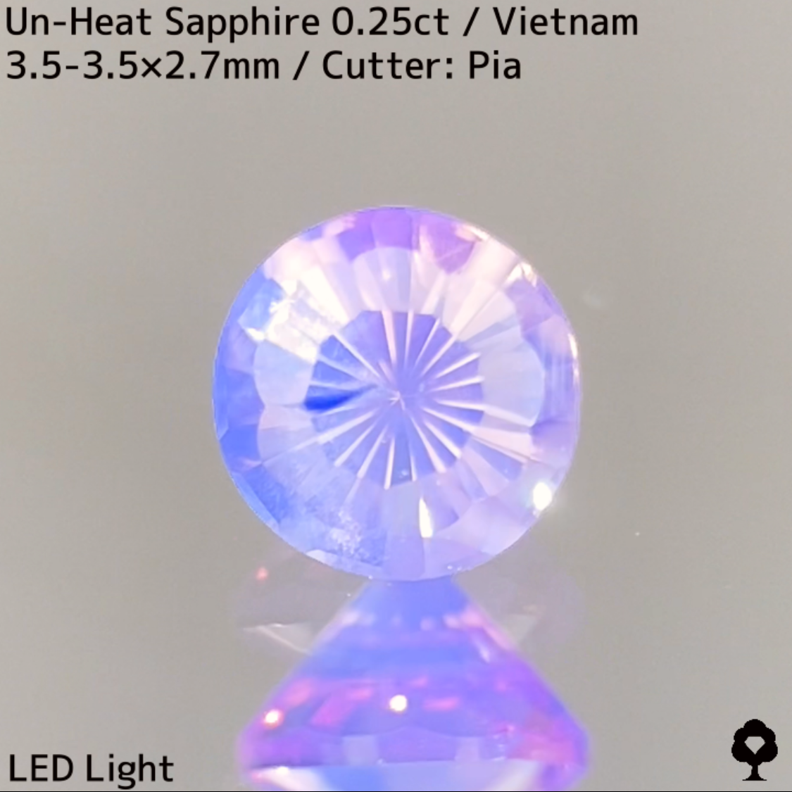 Un-Heat Sapphire 0.25ct / Vietnam / New Cut