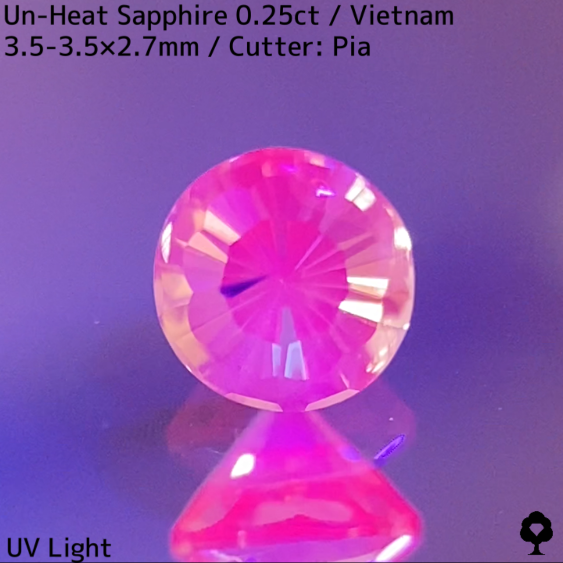 Un-Heat Sapphire 0.25ct / Vietnam / New Cut