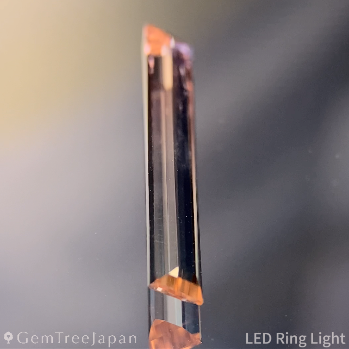 Bi-Color Tourmaline 1.025ct / Vietnam