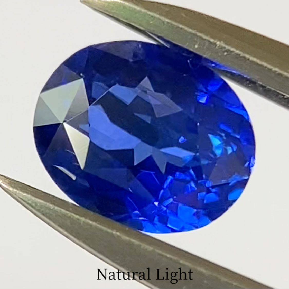 Cornflower Blue Sapphire 0.530ct / Burma
