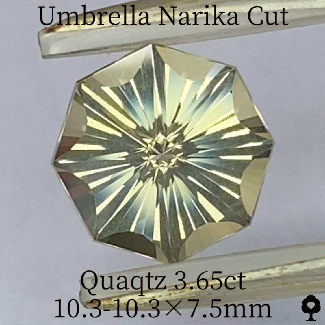 Quartz 3.65ct / Brazil / Umbrella Narika – IRMO.JP