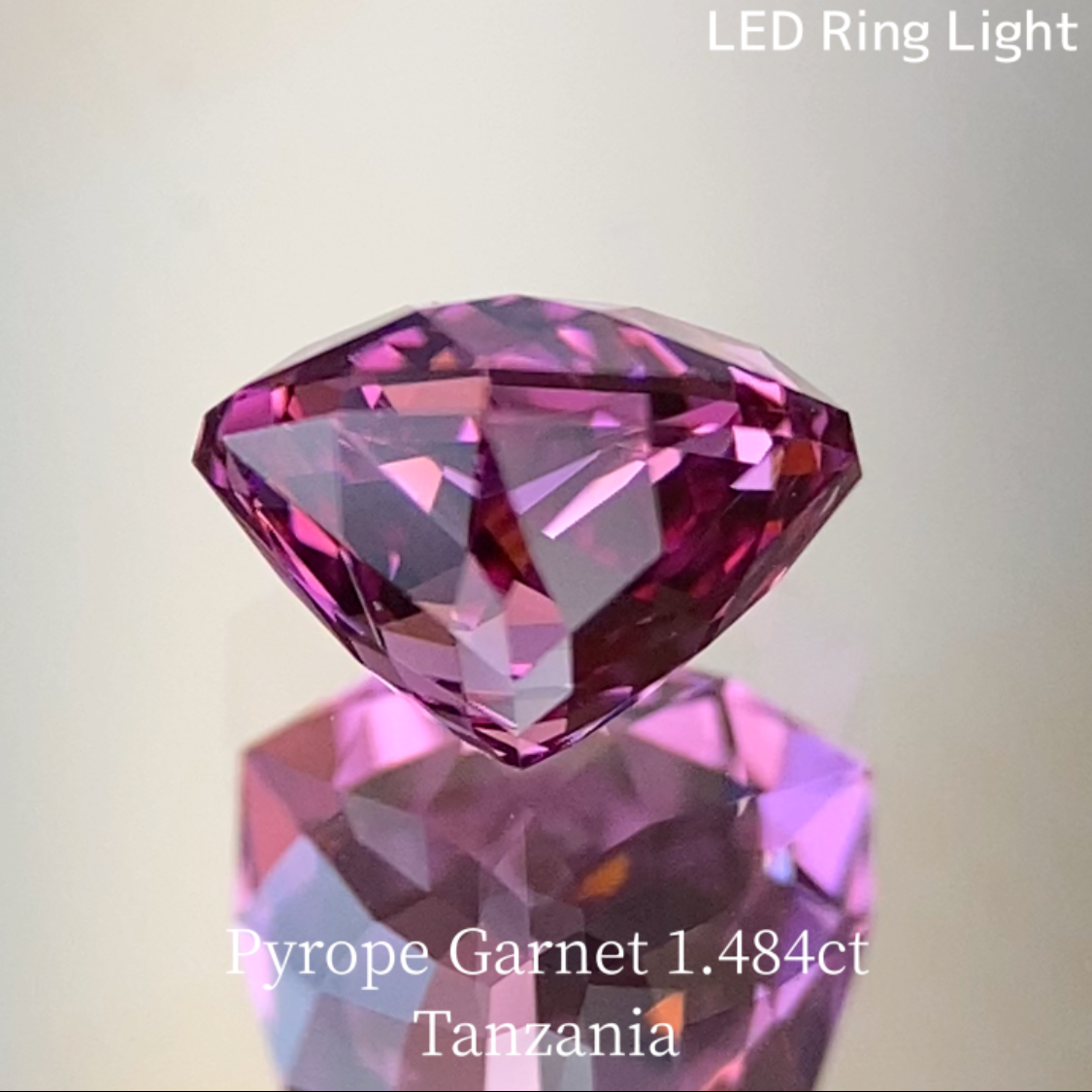Pyrope Garnet 1.484ct / Tanzania