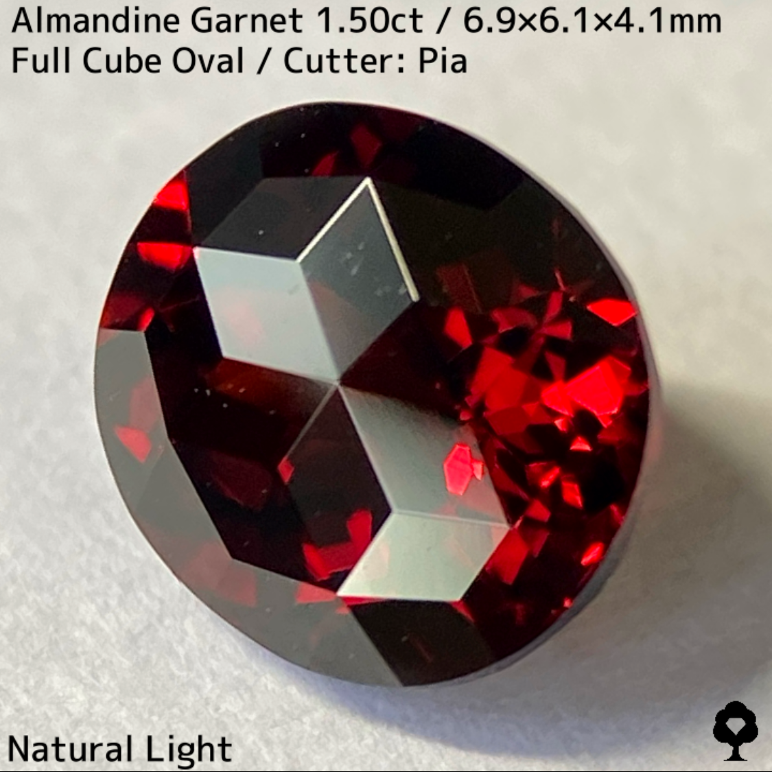 Almandine Garnet 1.50ct / Tanzania