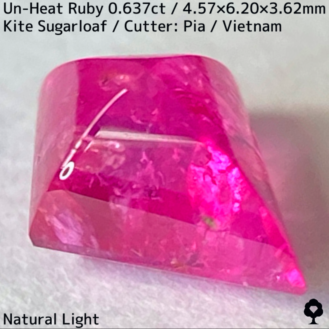 Ruby 0.673ct / Vietnam