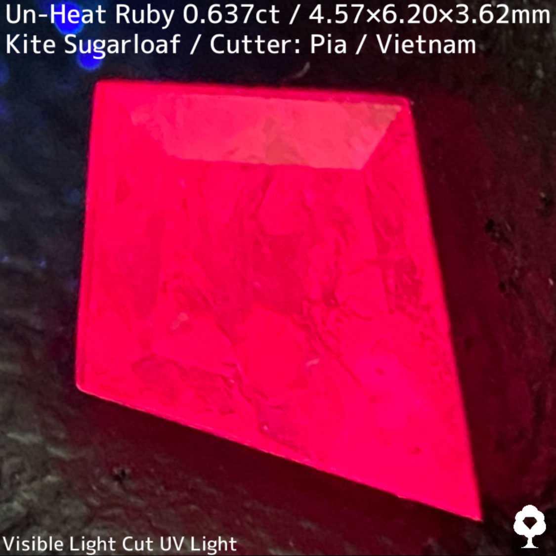 Ruby 0.673ct / Vietnam