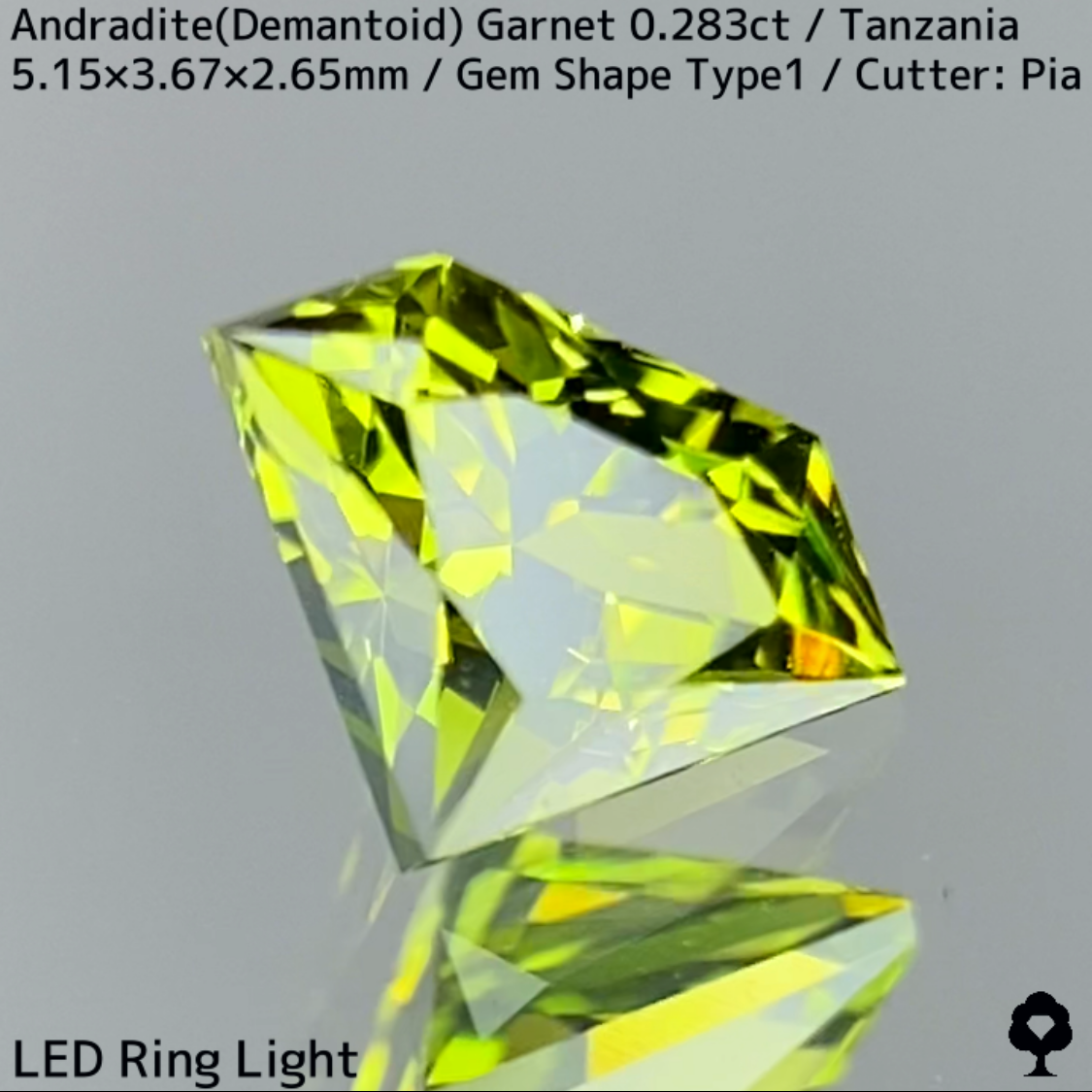 Andradite (Demantoid) 0.283ct / GemShapeType1