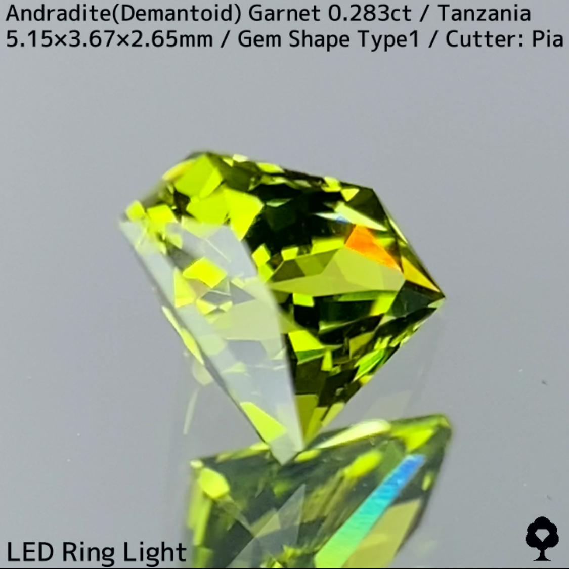 Andradite (Demantoid) 0.283ct / GemShapeType1