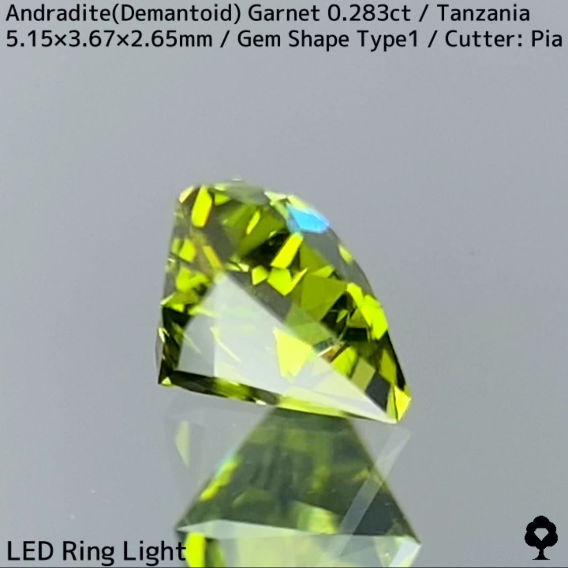 Andradite (Demantoid) 0.283ct / GemShapeType1