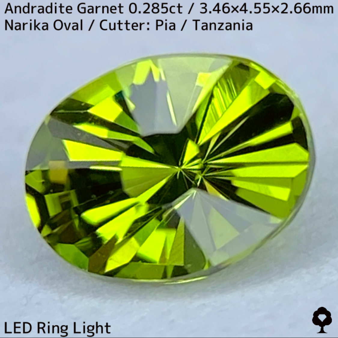 Andradite(Demantoid)0.285ct / Tanzania / New cut