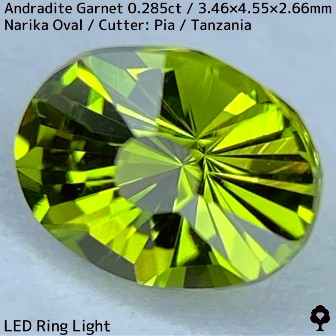 Andradite(Demantoid)0.285ct / Tanzania / New cut