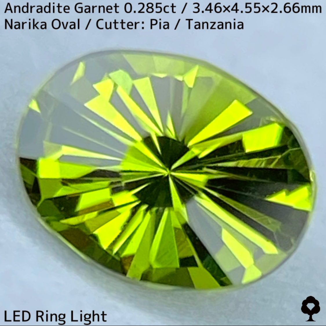 Andradite(Demantoid)0.285ct / Tanzania / New cut