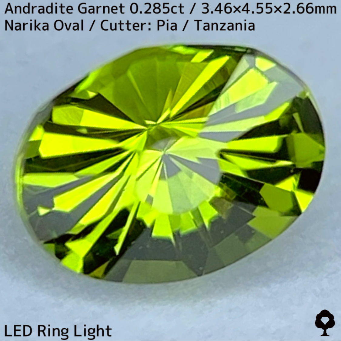 Andradite(Demantoid)0.285ct / Tanzania / New cut