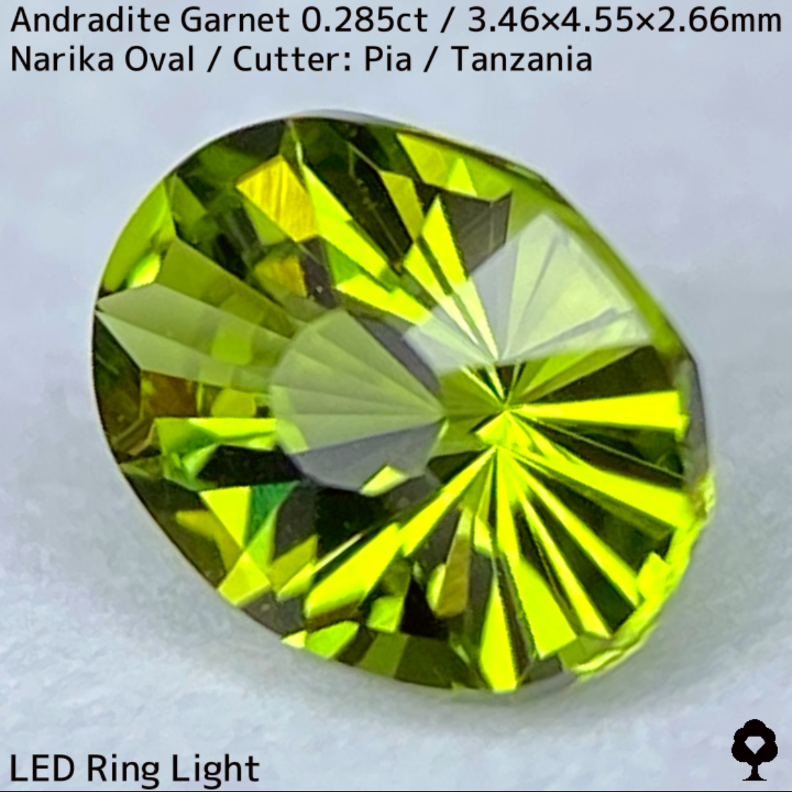 Andradite(Demantoid)0.285ct / Tanzania / New cut