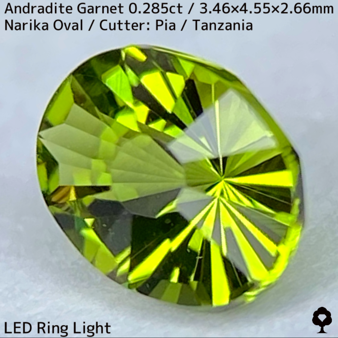 Andradite(Demantoid)0.285ct / Tanzania / New cut