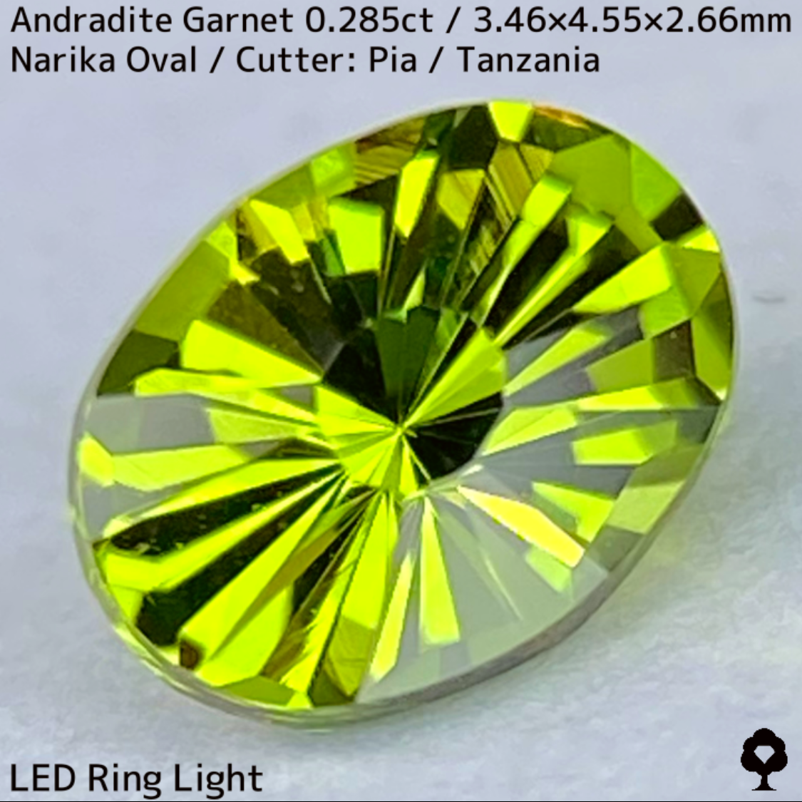 Andradite(Demantoid)0.285ct / Tanzania / New cut