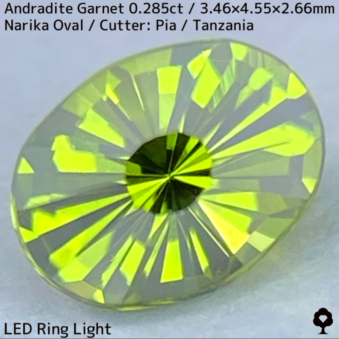 Andradite(Demantoid)0.285ct / Tanzania / New cut