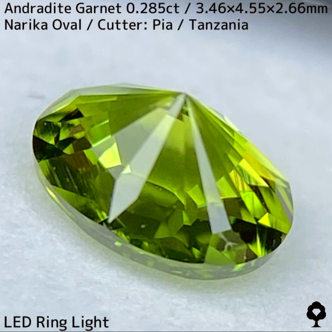 Andradite(Demantoid)0.285ct / Tanzania / New cut