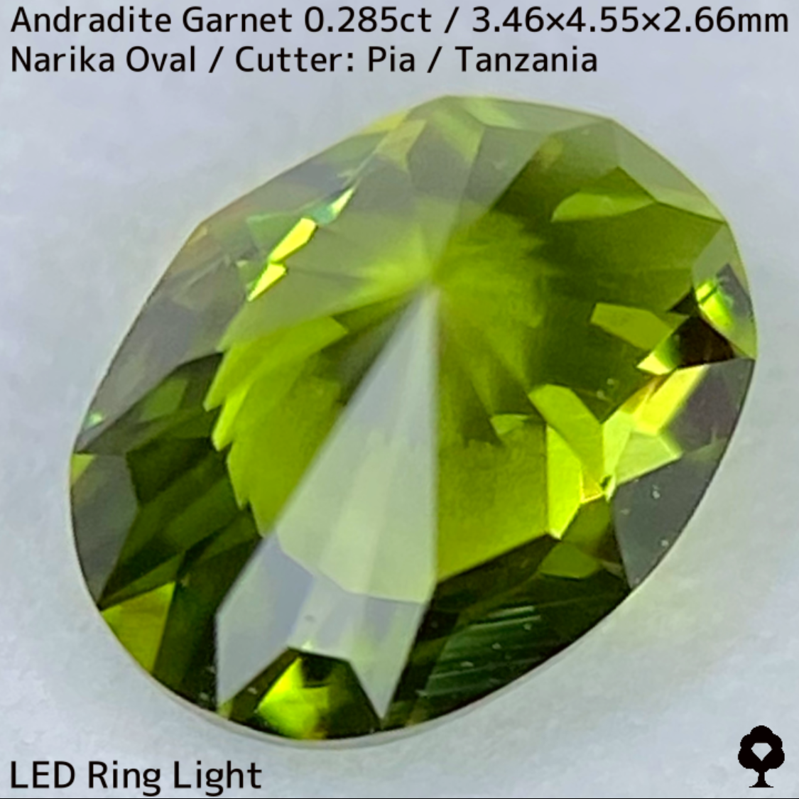 Andradite(Demantoid)0.285ct / Tanzania / New cut
