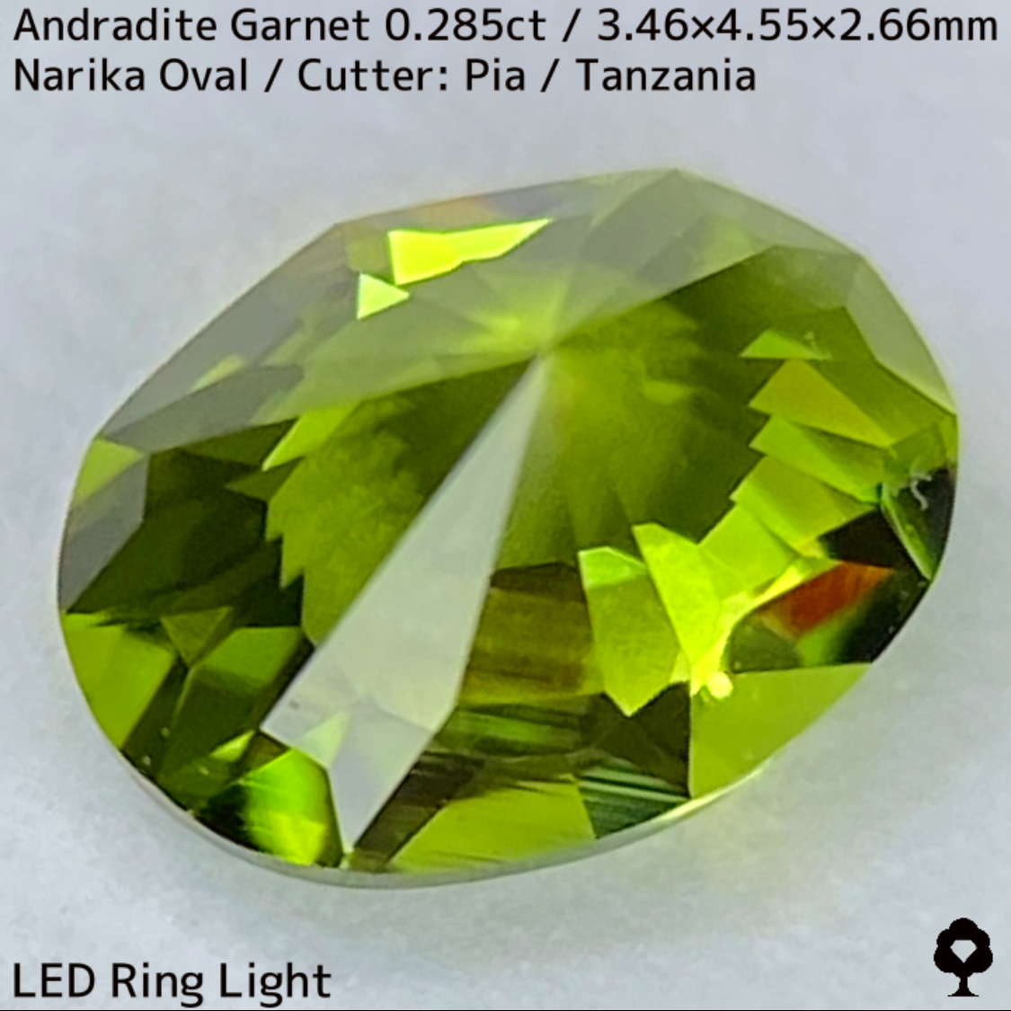 Andradite(Demantoid)0.285ct / Tanzania / New cut