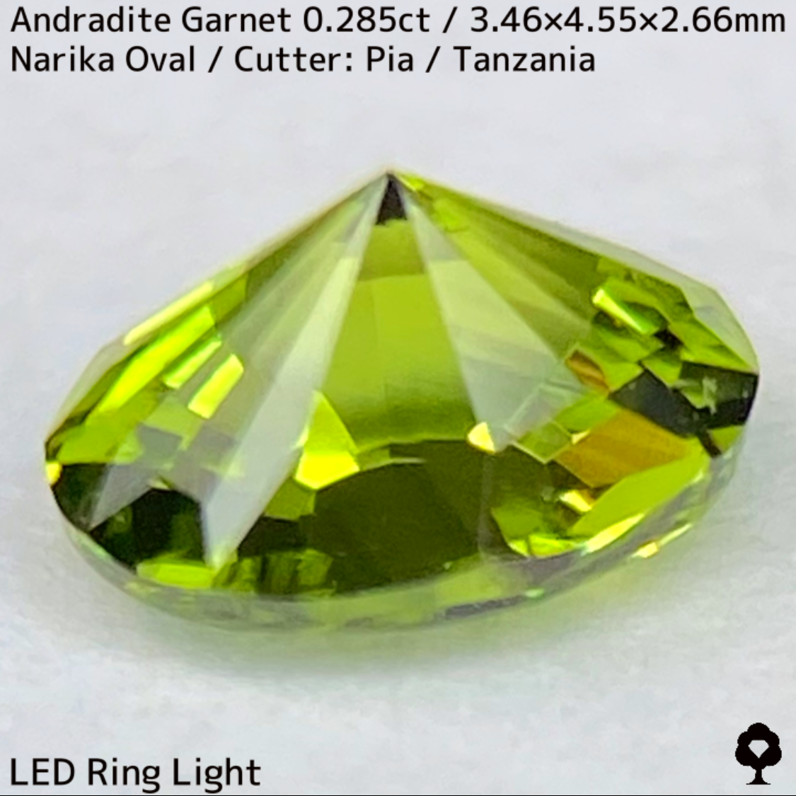 Andradite(Demantoid)0.285ct / Tanzania / New cut