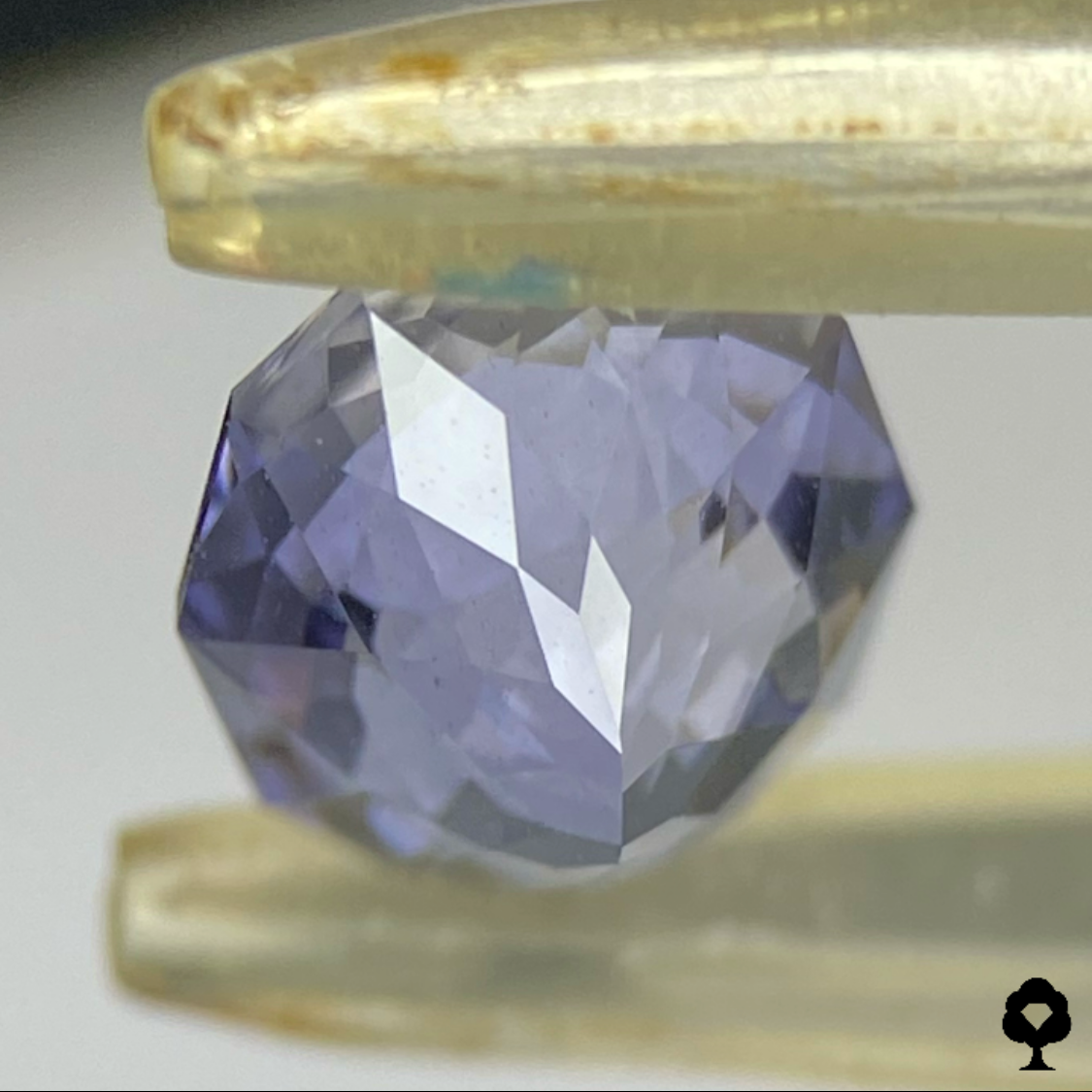 Iolite 1.26ct / New cut